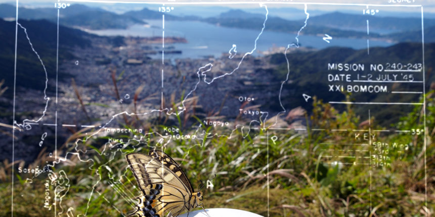 The view from Mt. Haigamine